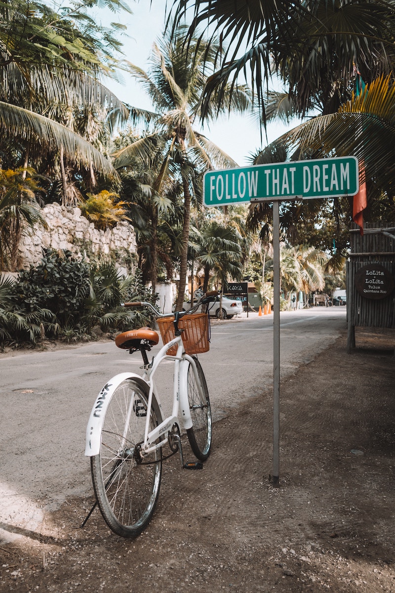 Vélo posé au bord d'une route bordée de palmiers